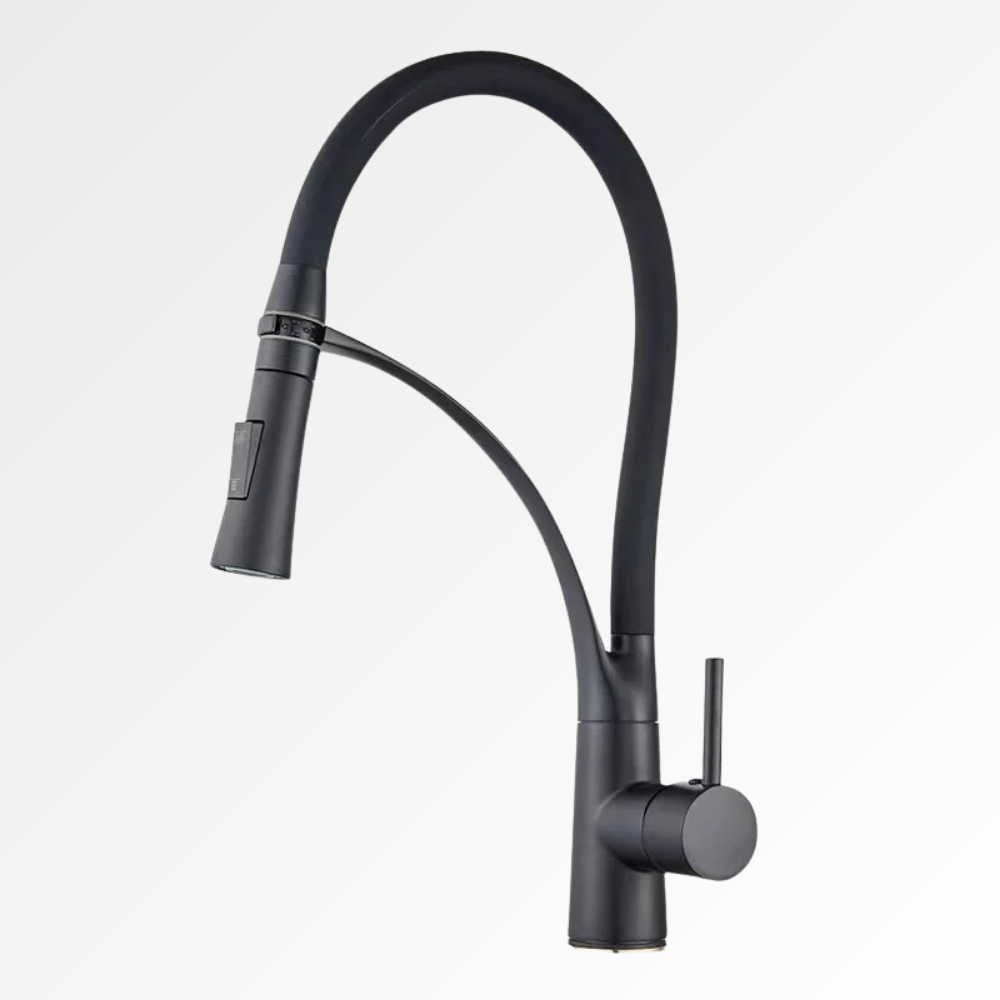 Flexa Noir – Mitigeur cuisine col de cygne avec douchette